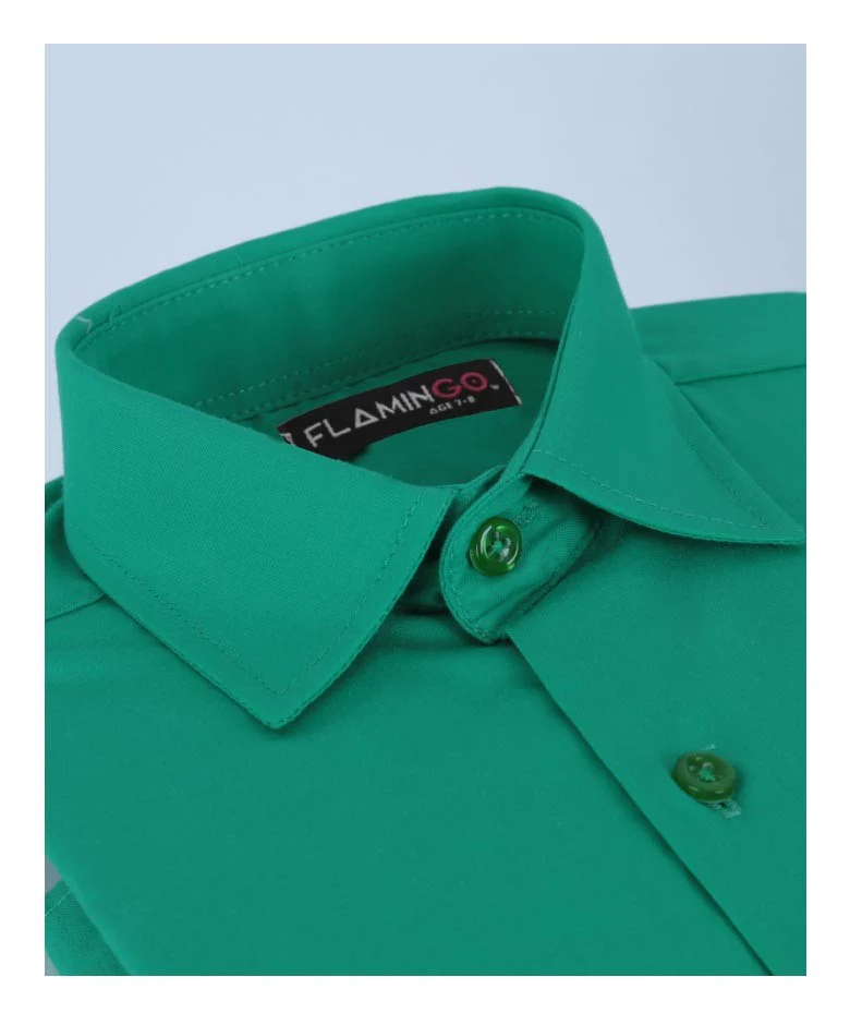 Boys Cotton Blend Formal Shirt - Dark Green - Image 3