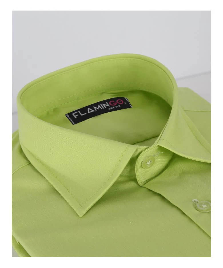 Boys Cotton Blend Formal Shirt - Pistachio Green - Image 2