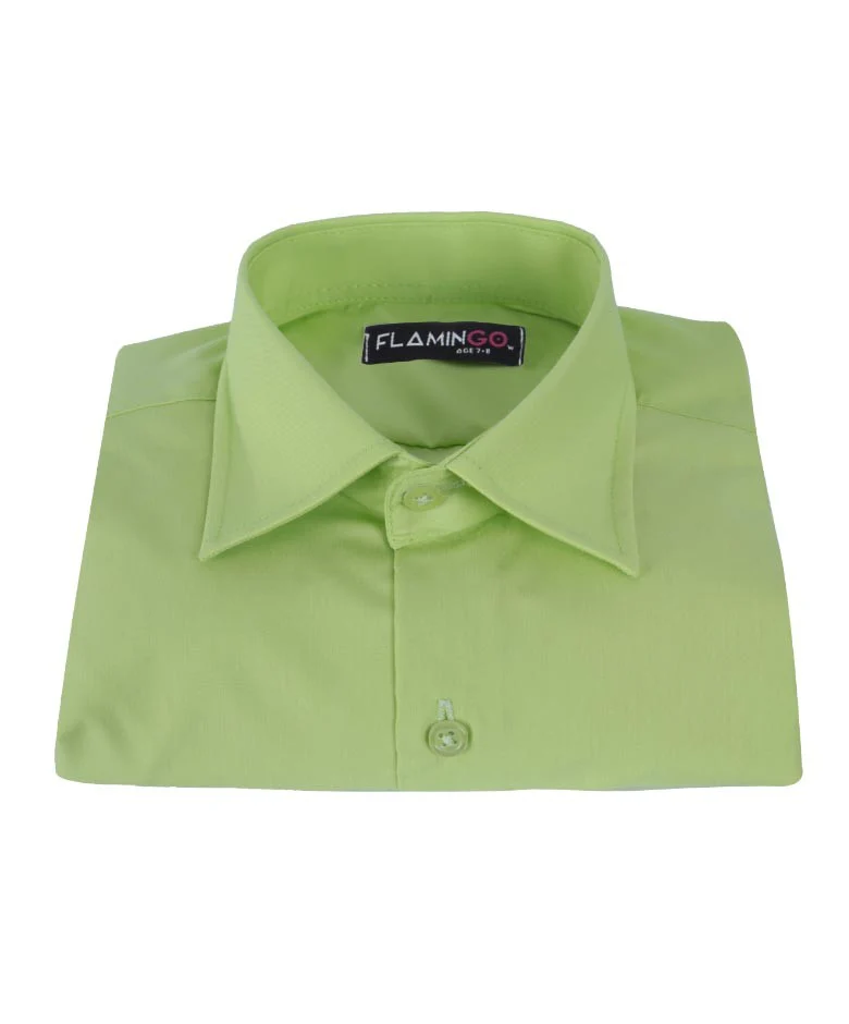 Boys Cotton Blend Formal Shirt - Pistachio Green - Image 4