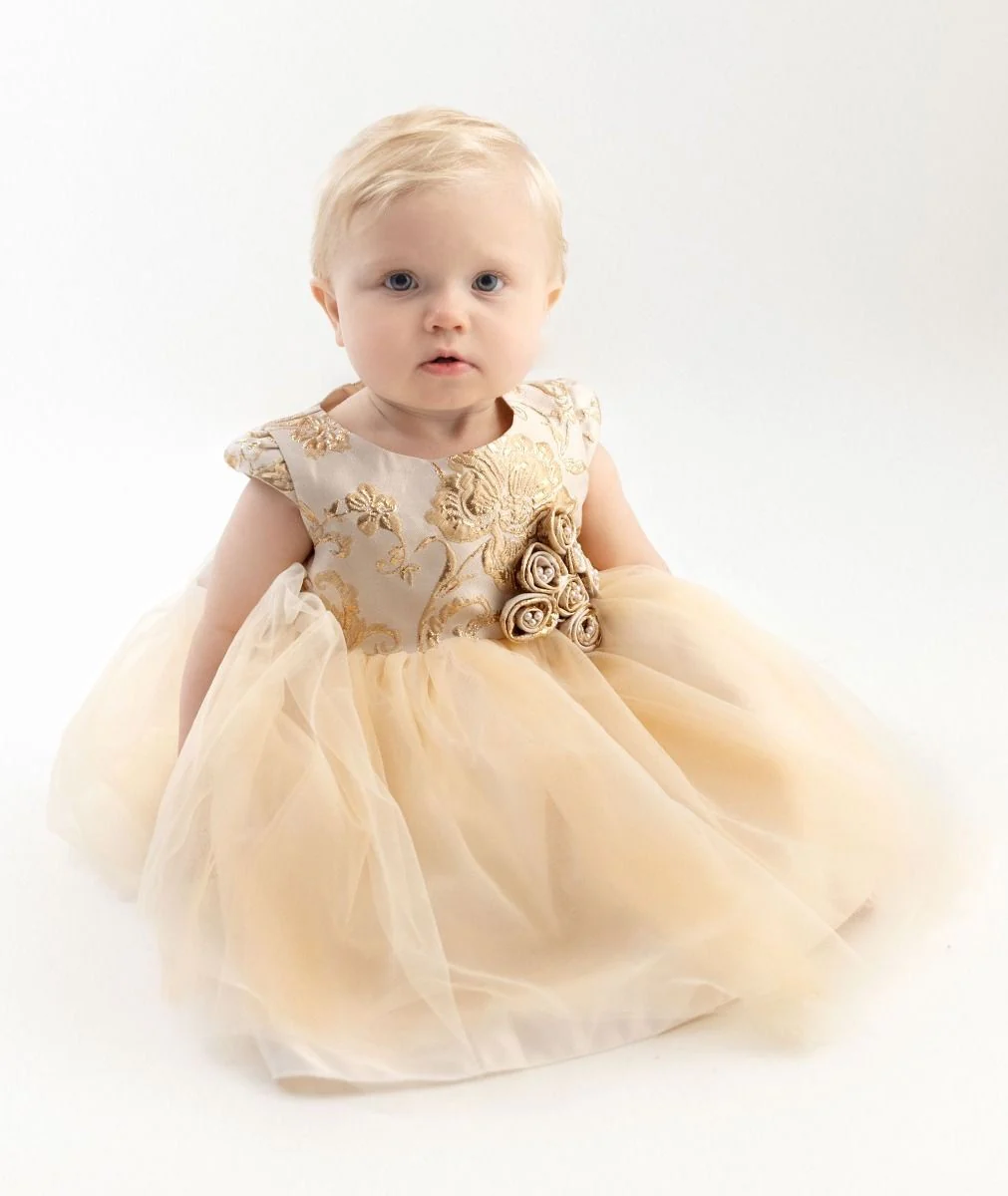 Girls and Babies Gold Embroidered Bodice Dress – ANGELA - Gold Champagne - Image 3